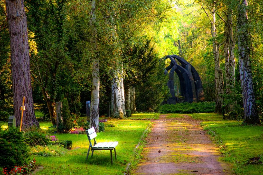 green path in cemetery with bench beside headstones