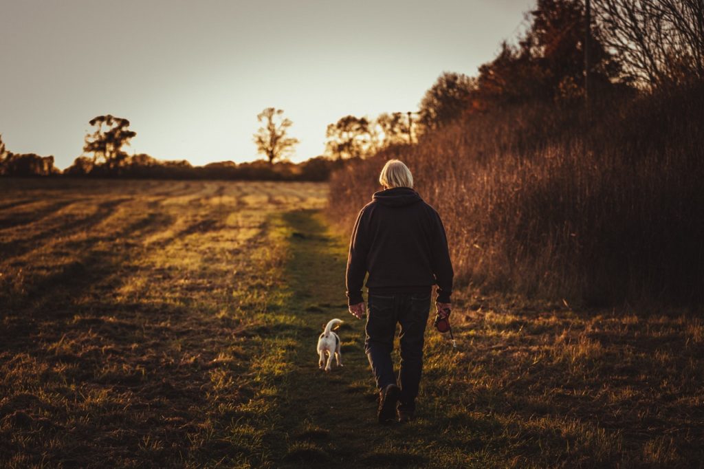 old person walking with puppy near trees