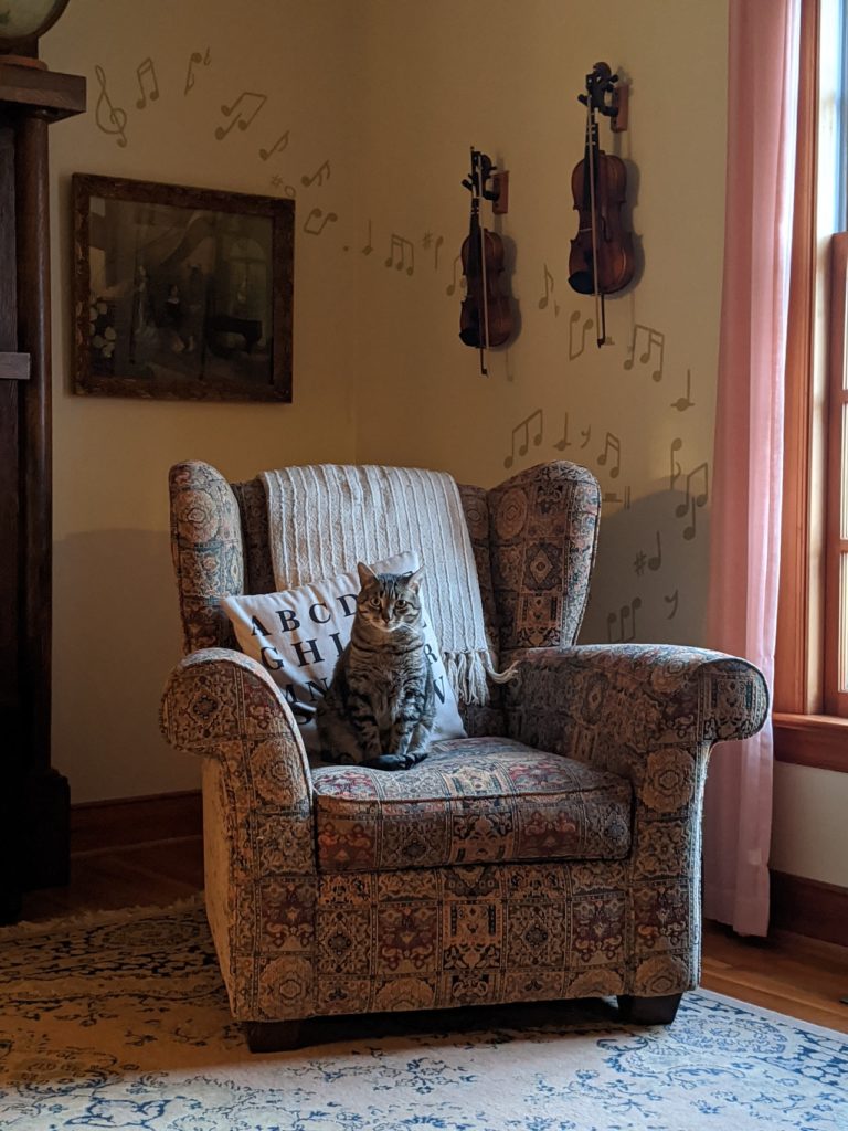 cat sitting on armchair near a window