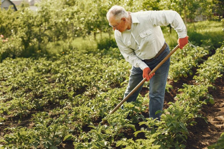 Aging in Place: A Guide to Growing Older at Home