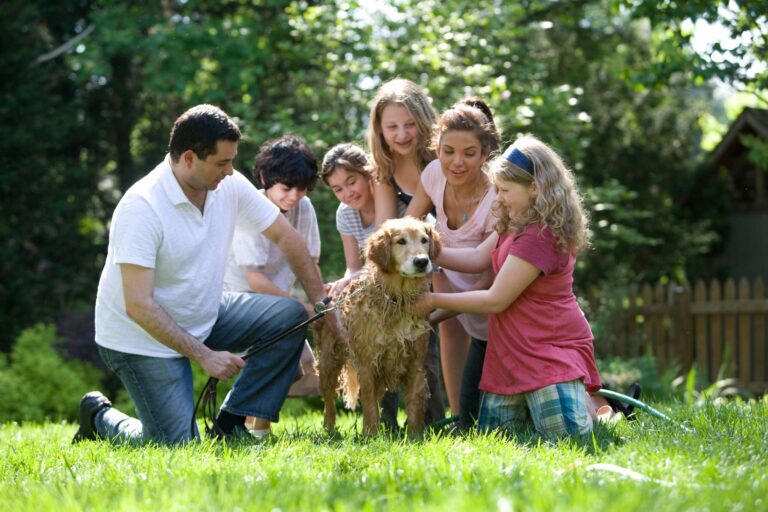 <strong>Estate Planning for Blended Families with Stepchildren</strong>