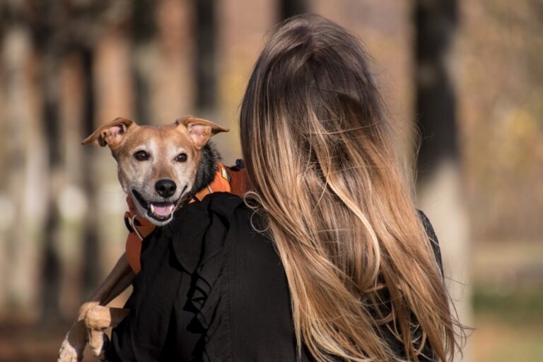 How does a Pet Direct Their Pet Trust Hint:They don’t, you do