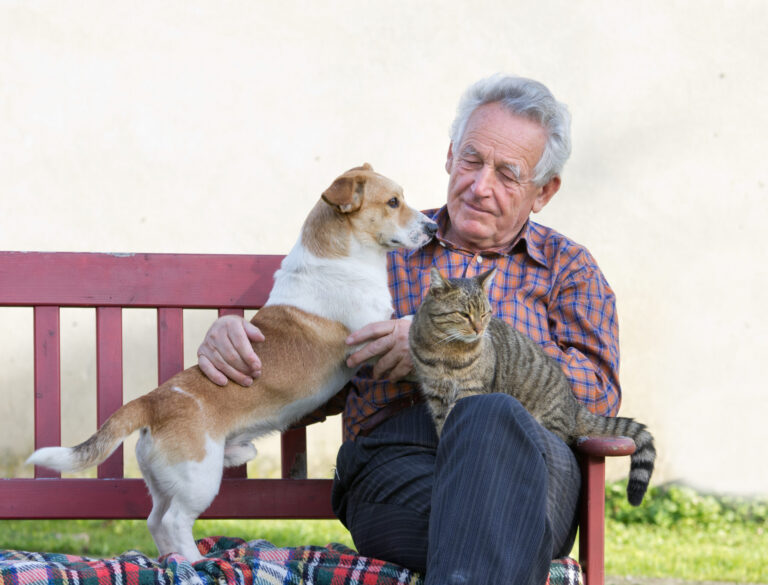Ensuring Your Furry Friend’s Future: Why You Need a Pet Trust and How Gentreo Can Help