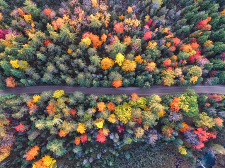 Autumn is a Perfect Time to Review Your Estate Plan