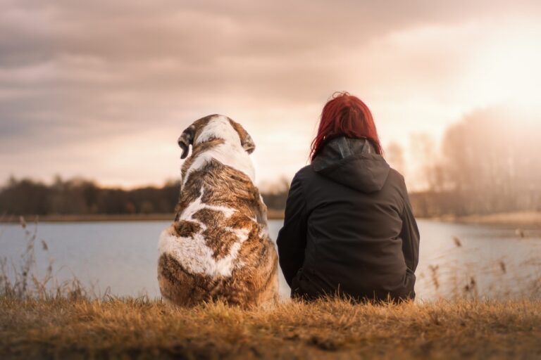 What is a Last Will and Testament? Everything You Need to Know