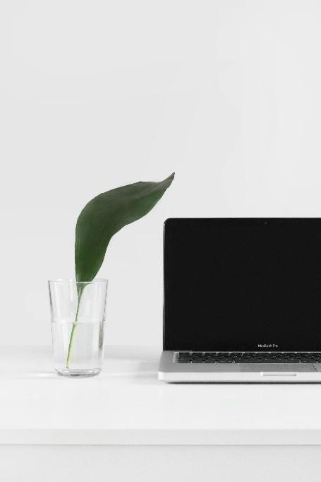 Online Wills