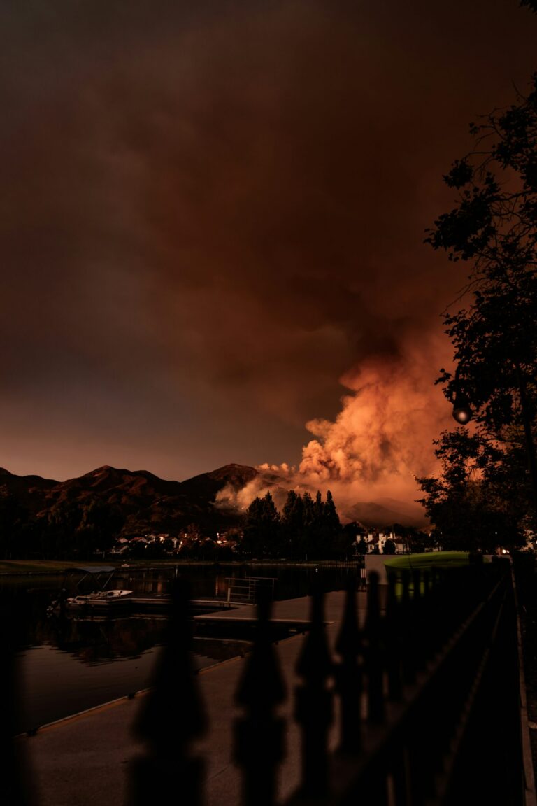 Evacuating Your Home Quickly During a Natural Disaster: Protecting Your Estate Plan with Online Tools
