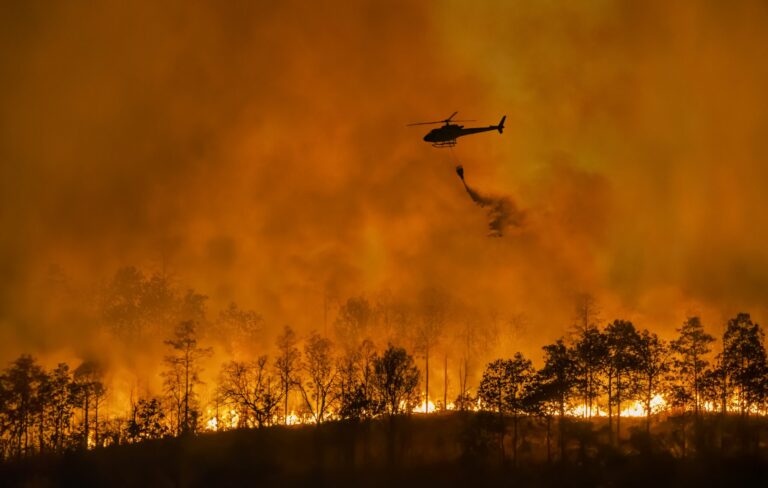 Standing Strong with California: Protecting Wildfire Victims from Scams