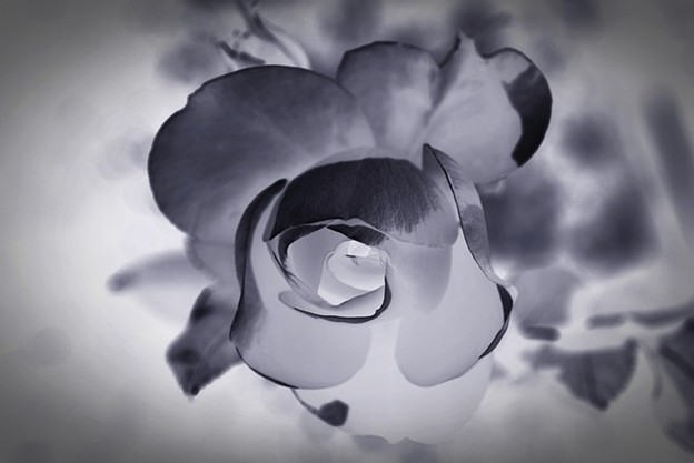 Funeral Insurance