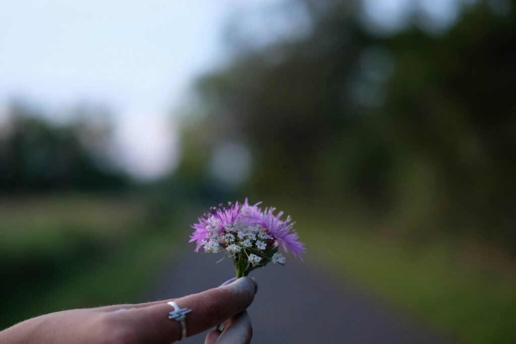 Purple flower in someones hand