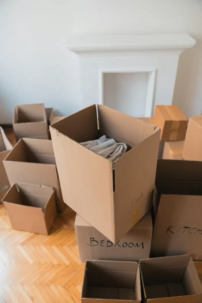 Job Loss / Layoff